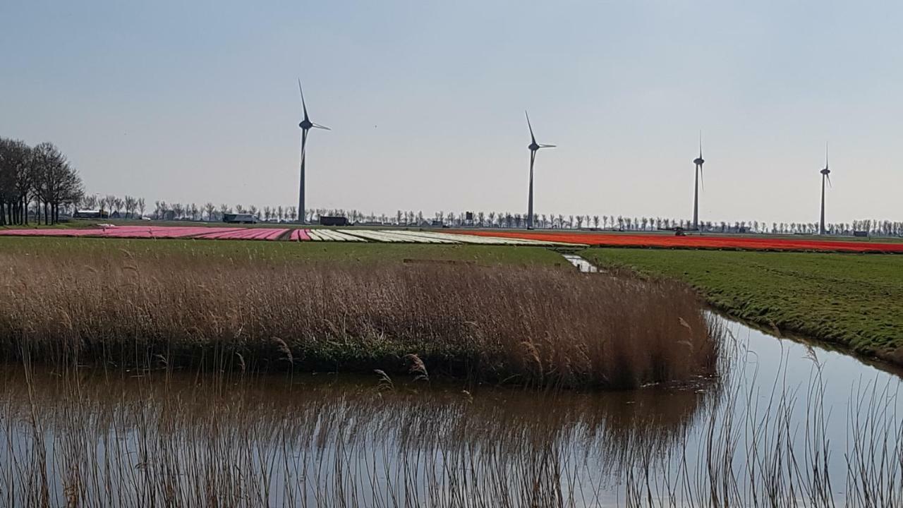 Vliet Huis Medemblik Buitenkant foto